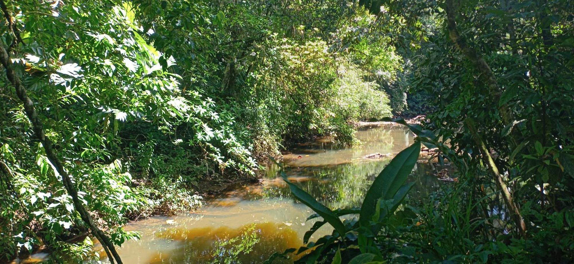 Finca La Paz - Sarapiqui Puerto Viejo de Sarapiqui ภายนอก รูปภาพ