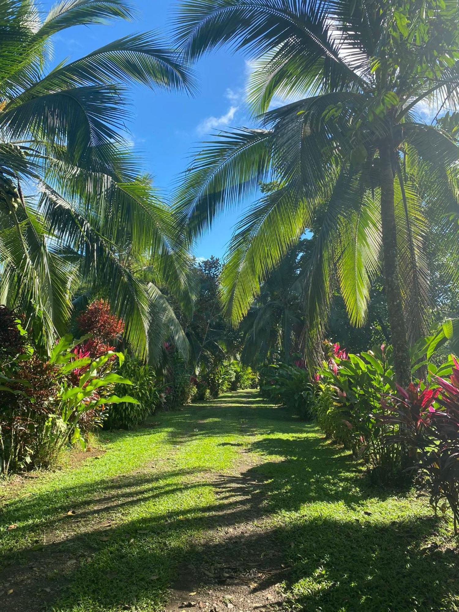 Finca La Paz - Sarapiqui Puerto Viejo de Sarapiqui ภายนอก รูปภาพ