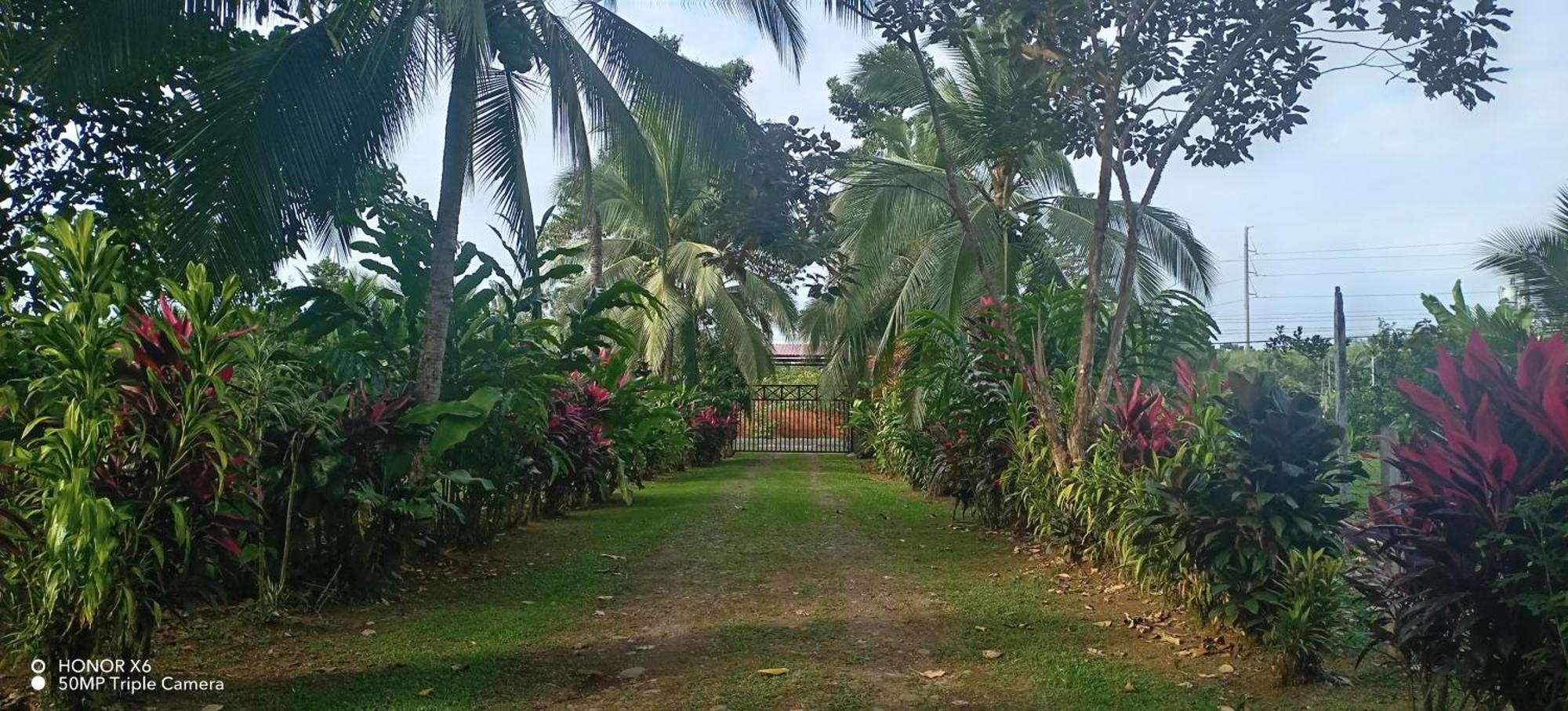 Finca La Paz - Sarapiqui Puerto Viejo de Sarapiqui ภายนอก รูปภาพ